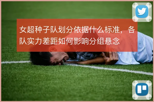 女超种子队划分依据什么标准，各队实力差距如何影响分组悬念